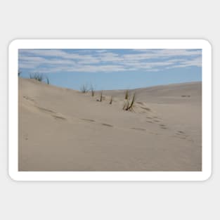 Sand dunes. Sticker